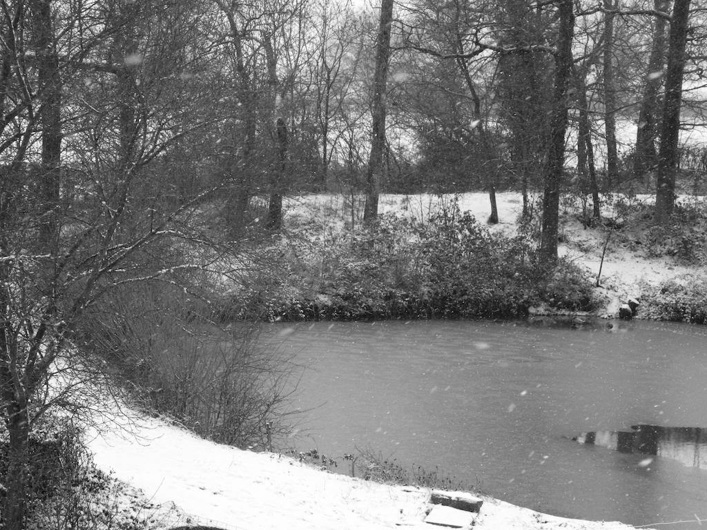Meubles De Tourisme La Reserve Saint-Pierre-les-Bois Exteriör bild